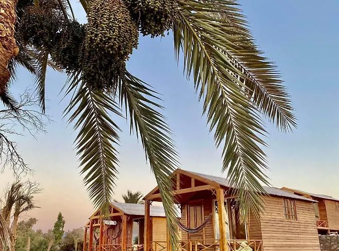 Hotel Big Dune Camp